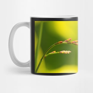 Flowers Mug